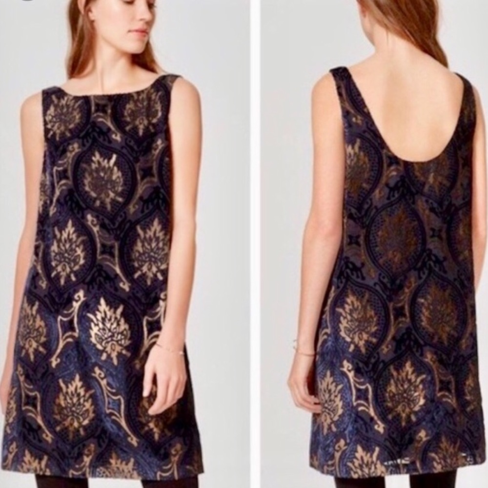 LOFT Navy Velvet Dress with Gold Accent Design